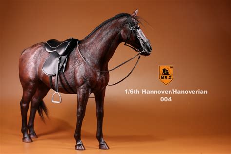 German Hanoverian Warmblood Horse Brown