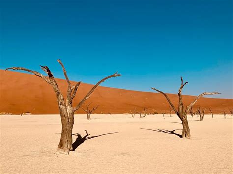 Namibia Self Drive Explorer Sossusvlei Etosha Swakopmund And More