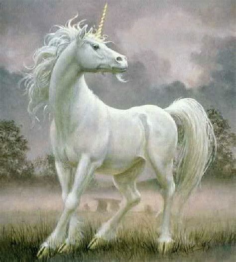 The Unicorn Wiki Mythical Times Amino