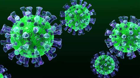 China Y Eeuu Discuten Sobre El Origen Del Coronavirus