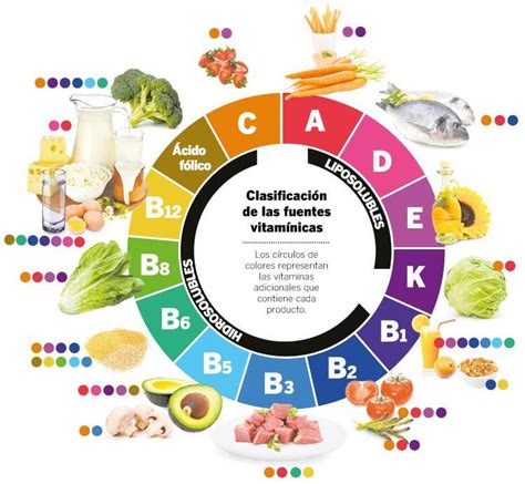 Clases De Nutrientes Mind Map