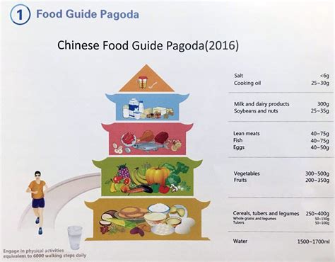 Chinese Dietary Guidelines And Food Guide Pagoda Food Pyramid Food