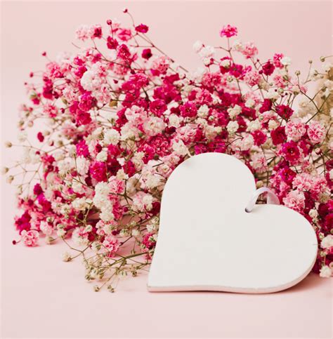 Einfach online strauß aussuchen, sicher kaufen und freude schenken. Schöner blumenstrauß des baby-atems blüht mit weißer herzform auf rosa hintergrund | Kostenlose Foto