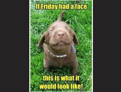 Tags friday love meme, funny friday memes 18+, happy friday meme images, its friday images, its friday meme, its friday meme gif, its friday meme work, its friday memes adults only. 90 Friday Memes That Will Supplement Your Friday Feels