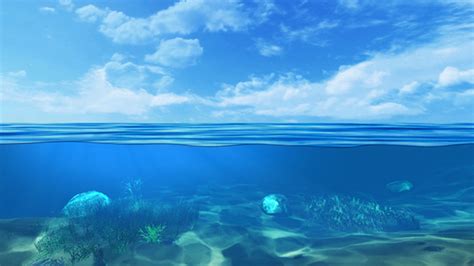 Underwater Seabed View Horizon By Se5d Videohive