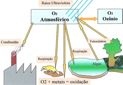 Descobriu As Propriedades Da Combustão Do Oxigênio