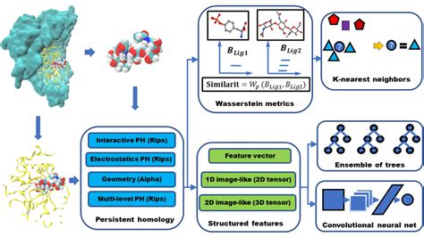 An Illustration Of The Topology Based Machine Learning Algorithms Used