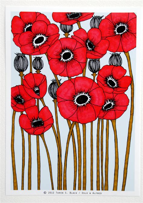 The Red Poppies Illustration By Taren S Black By Osloandalfred With