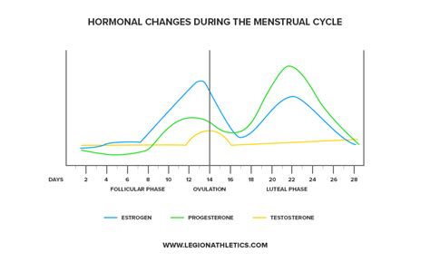 Hormones Levels During Menstrual Cycle