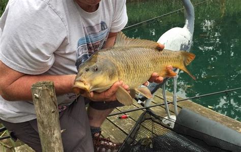 Glamping In Yorkshire Acorn Glade Fishing