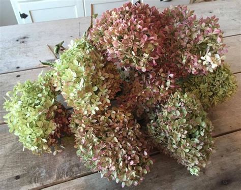 Large Dried Hydrangea Bouquet Large Bunch Of Naturally Dried