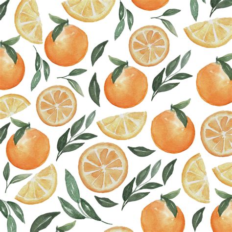 Orange Fruit Watercolor Clipart Patterns Png