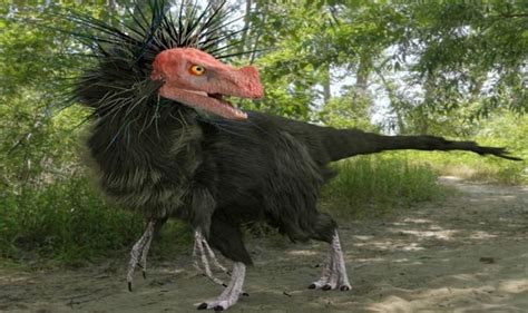 We did not find results for: Dinosaur DISCOVERY: Feathers came before the bird, Bristol ...