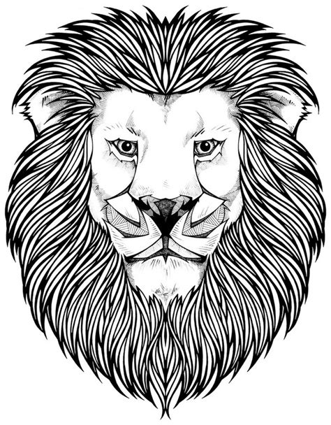 7 Top Lion Coloring Sheets For Your Little Angels Coloring Pages