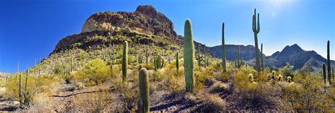 Organ pipe cactus national monument. Diablo Canyon | Organ Pipe Cactus National Monument ...