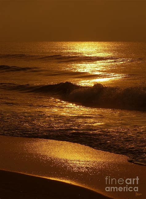 Sun Kissed Photograph By Jeff Breiman Fine Art America