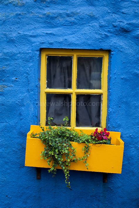 Blue Wall Yellow Window Kinsale Dave Walsh Photographer
