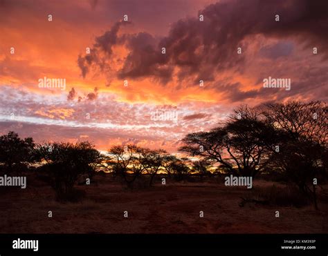 A Dramatic Sunset In The Bush Of The Southern African Savanna Stock