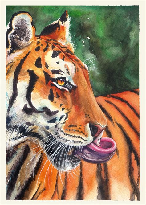 Watercolor Tiger Tiger Tigre Aquarela De Tigre Aquarela Painting
