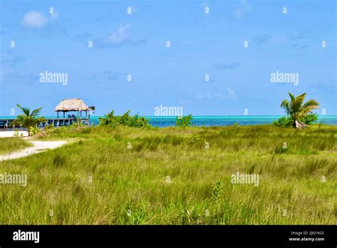 A Tropical Scene On Ambergris Caye Belize With A Pier Palapa And