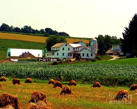Swartzentruber Amish Farm Sarah S Country Kitchen Amish Farm Amish