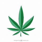 Photos of Marijuana Leaf Images