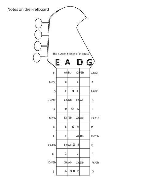 Bass Neck Diagram String Bass Guitar Fretboard Diagram Music Instrument Because Players