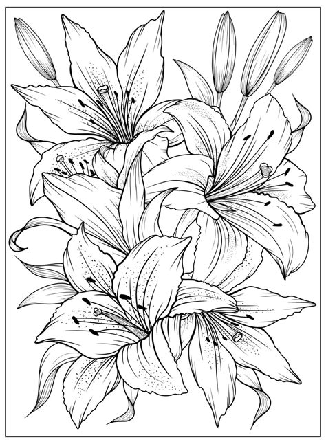 Coloring Page With Lilies And Leaves Vector Page For Coloring Flower