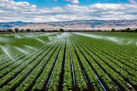 Beneficios De La AutomatizaciÓn Para La Agricultura Efecto Responsable