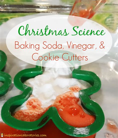 The creative kids gift guide includes sewing, textile, crafty food, science, craft, cooking and baking. The Sunday Showcase - Christmas Learning Activities ...