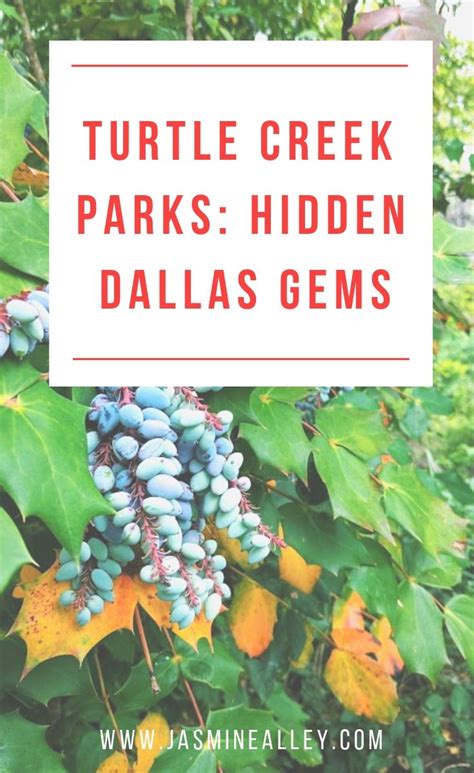 Turtle Creek Parks What To Do At These Hidden Dallas Gems Turtle