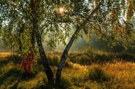 Morning In The Meadow By Mykhailo Sherman 500px The Meadows Meadow
