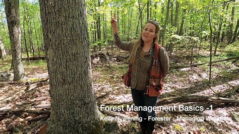 Forest Management Basics 2 Youtube