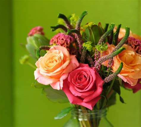 Bloom & wild next day flower delivery. The Lola from bloom and wild is a bold bouquet of roses ...