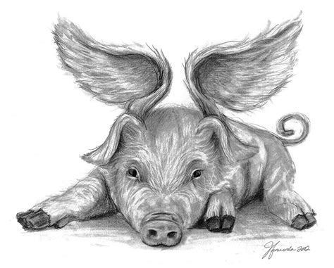 When Pigs Fly Drawing By J Ferwerda