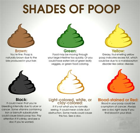 What The Shape And Color Of Your Poo Say About Your Health