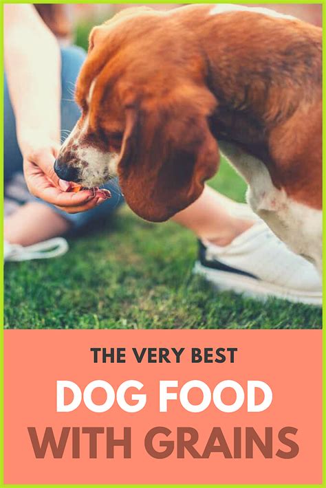We reached out to dr. 7 Best Dog Food With Grains: Why Non Grain-Free Dog Food ...