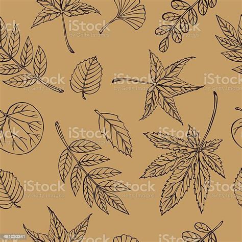 Vector Silhouette Of Various Leaves Stock Illustration Download Image