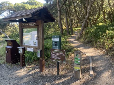 Junipero Serra Park Support Parks In San Mateo County