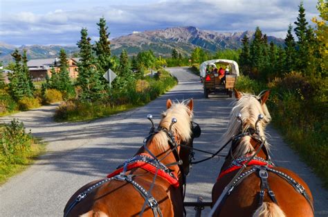 Horse Drawn Covered Wagon With Back Country Dining Healy Denali