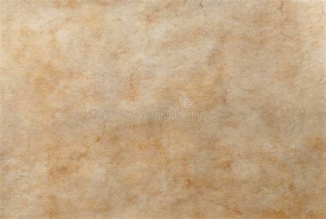 Ancient Blank Aged Worn Paper Scroll Stock Images Download 982
