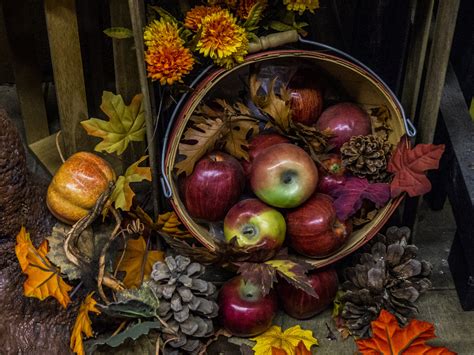 Happy Thanksgiving Greeting Free Stock Photo Public Domain Pictures