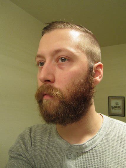 Three Month Beards Page 6 Beard Board