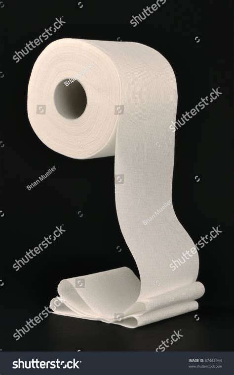 Toilet Paper Unrolling Stock Photo 67442944 Shutterstock