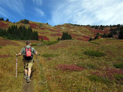 Green Mountain — Washington Trails Association