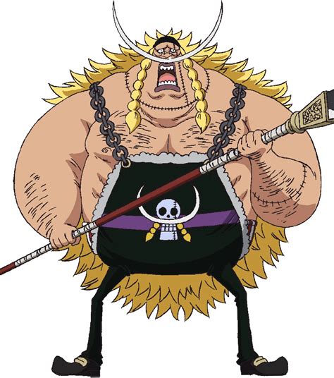 Edward Weevil Is In Fact The Son Of Whitebeard Ronepiece