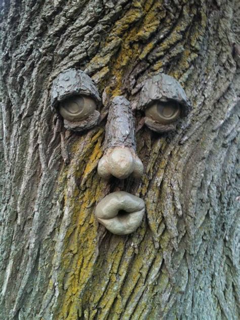 A Tree With A Face Tree Faces Garden Art Unique Trees