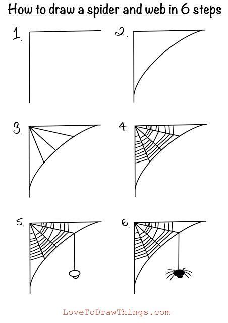 How To Draw A Spider And Web In 6 Steps Spider Drawing Spider Web