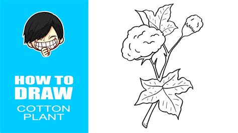 How To Draw Cotton Plant Youtube