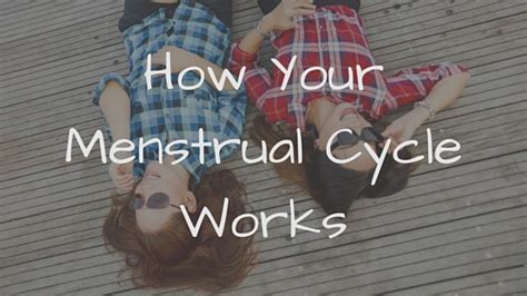 how your menstrual cycle works dr jolene brighten